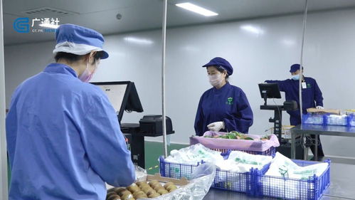 江蘇直通車 探訪南京豐浩華食品供應鏈管理有限公司的創新之路